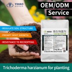 Fast  Delivery Biofungicide Fertilizers Agricultural Bacillus Pumilus Biostimulant