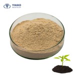 Shorter Lead Time Controlled Release Fertilizer Bacillus Laterosporus Fertiliser Fruit Fertilizer