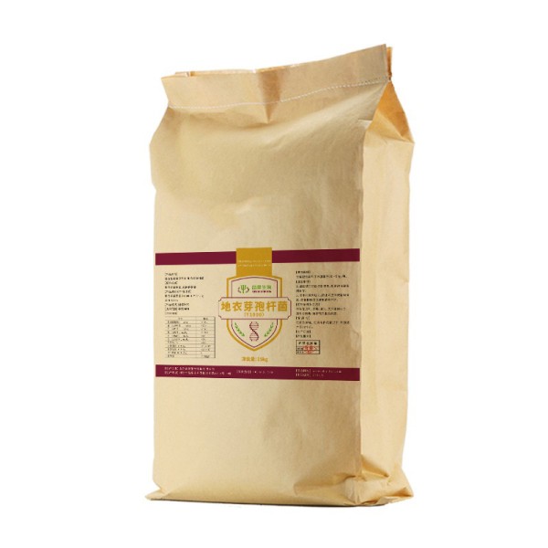 High Quality Bacillus Subtilis Feed Additive China Manufacturer Direct Supply Best Price for Aquaculture 25kg/Bag Probiotics