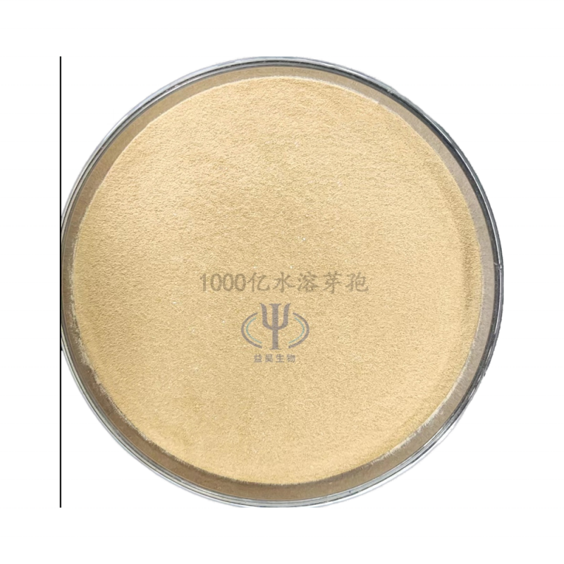 Hot Sale Nutritional Supplements Compound Probiotics for Newborn Animals for Fish Dog Pig Cattle Horse Other Domestic Animals