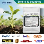 Fast  Delivery Biofungicide Fertilizers Agricultural Bacillus Pumilus Biostimulant