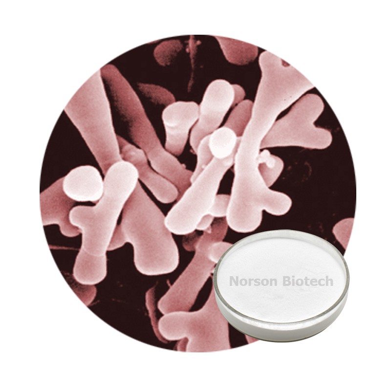 Bifidobacterium Infantis Powder for Infant Formula Milk