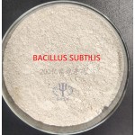 High Quality 20 Billion Bacillus Subtilis Fish Growth Booster Probiotics for Purified Water Quality