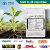 Shandong Yihao Biotechnology Co., Ltd.