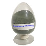 Flexible Production Bacilius Subtilis Bacillus Megaterium Fertilizer for Rice