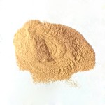 Super Quality and Competitive Price Prolong Laying Period Compound Probiotics Silage Bacteria