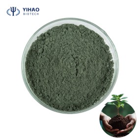 Shorter Lead Time Biofertilizer for Concrete Bacillus Laterosporus Fertilizer for Plants