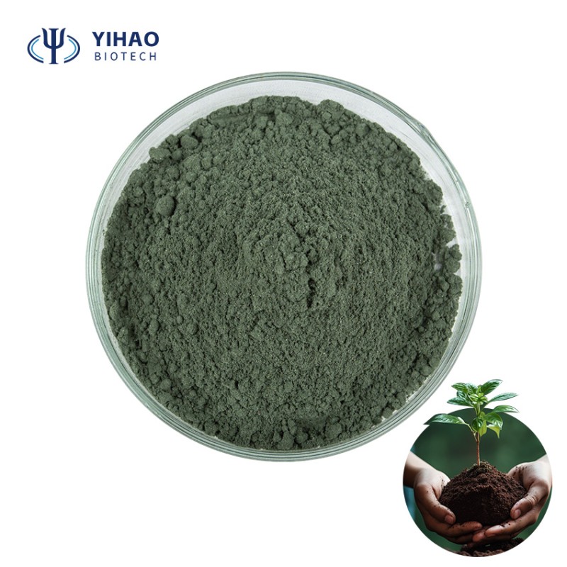 Shorter Lead Time Biofertilizer for Concrete Bacillus Laterosporus Fertilizer for Plants