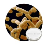 Lactobacillus Salivarius Powder for Fermented Dairy Products