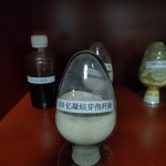 High Quality Bacillus Coagulans China Factory Supply Wholesales With Price Probiotics Feed Additivse for Animal
