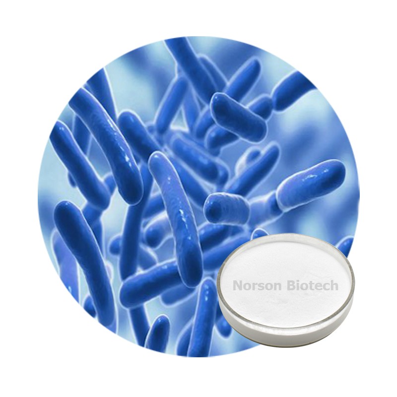 Lactobacillus Reuteri Probiotic Strain
