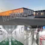 Bifidobacterium Longum Powder for Dietary Supplements