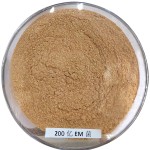 Factory Price Bacillus Subtilis Probiotics 50 Billion Bacteria Strain to Reduce Ammonia Nitrogen & Nitrite in Wastewater
