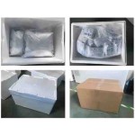 Lactobacillus Helveticus Probiotic Strain