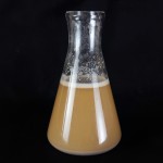 Factory Price Bacillus Subtilis Probiotics 50 Billion Bacteria Strain for Reducing Ammonia Nitrogen & Nitrite Wastewater