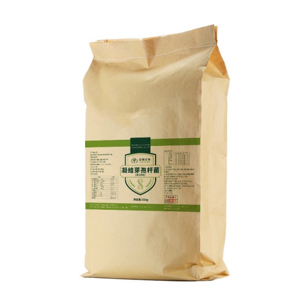 High Quality Bacillus Coagulans China Factory Supply Wholesales With Price Probiotics Feed Additivse for Animal