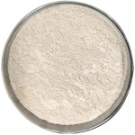 Factory Price Bacillus Subtilis Probiotics 50 Billion Bacteria Strain to Reduce Ammonia Nitrogen & Nitrite in Wastewater