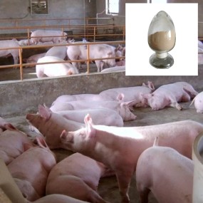 High Quality Customizable Feed Additive Acid Protease Enzyme for Animal Feed Feed Grade Amino Acids