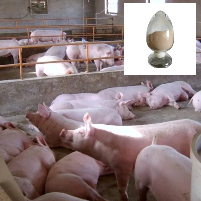 High Quality Customizable Feed Additive Acid Protease Enzyme for Animal Feed Feed Grade Amino Acids