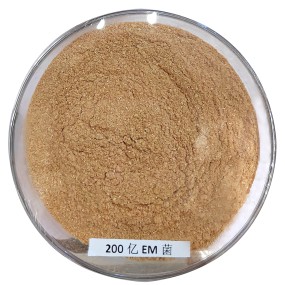 China Manufacturer Direct Supply Bacillus Subtilis Feed Additive for Aquacuture 25kg /Bag