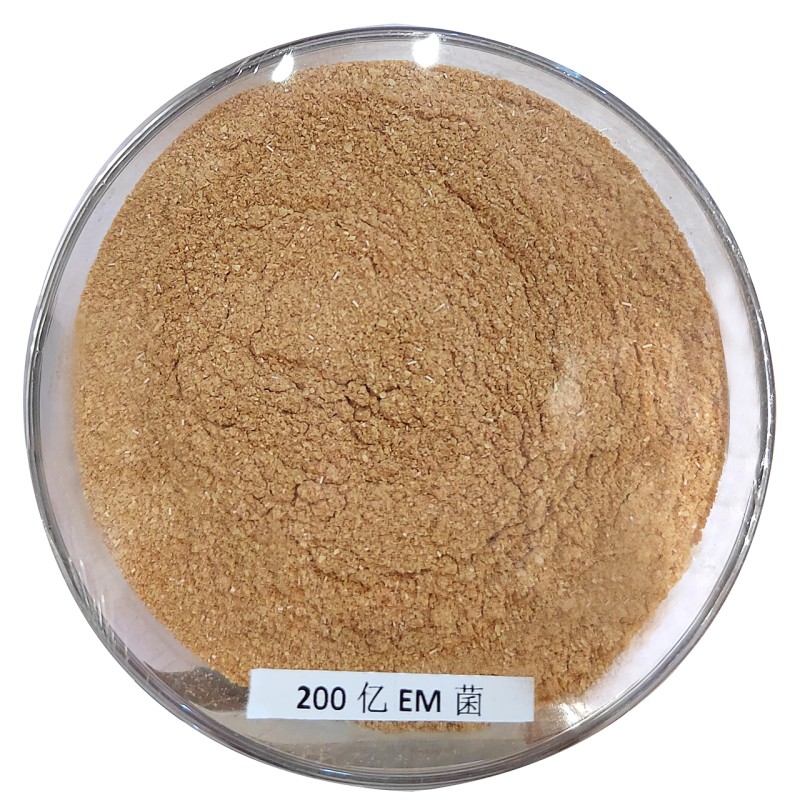 China Manufacturer Direct Supply Bacillus Subtilis Feed Additive for Aquacuture 25kg /Bag