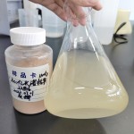 Hot Sale 10 Billion Bacillus Subtilis Effective Microorganisms Probiotics for Control Harmful Bacteria