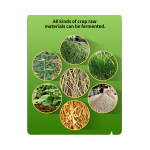Hot Sale Nutritional Supplements Compound Probiotics Silage Making Bacteria