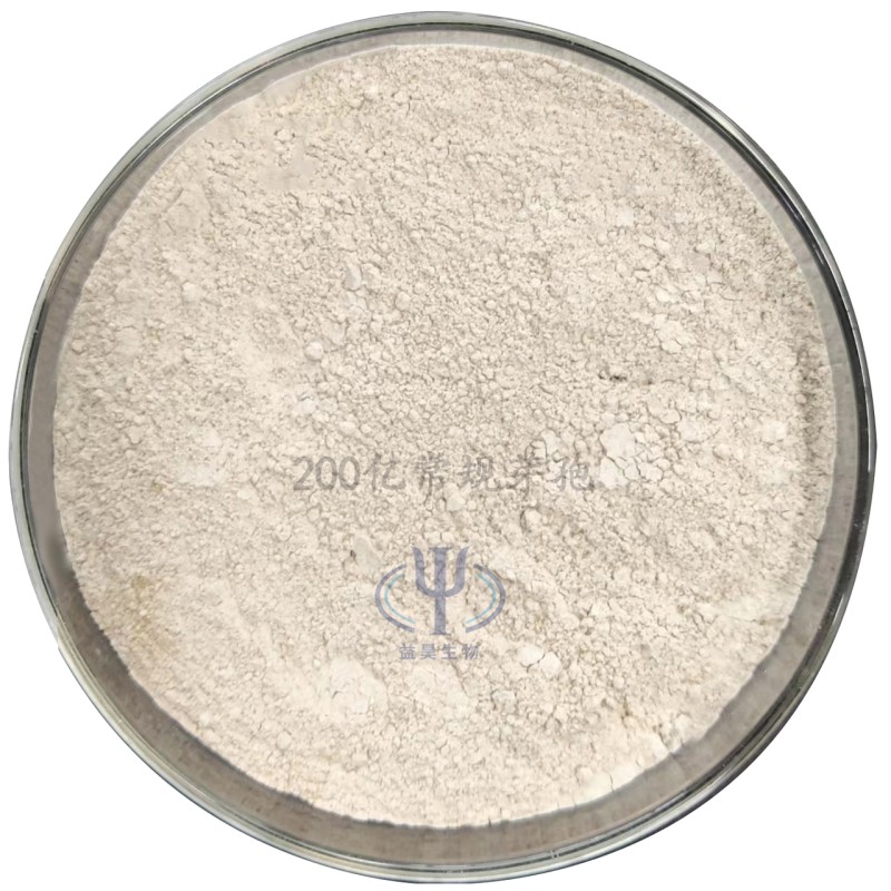 High Quality Bacillus Subtilis Feed Additives Powder Form Factory Supply Wholesale Best Price Animals Fish China Food Fish Meals