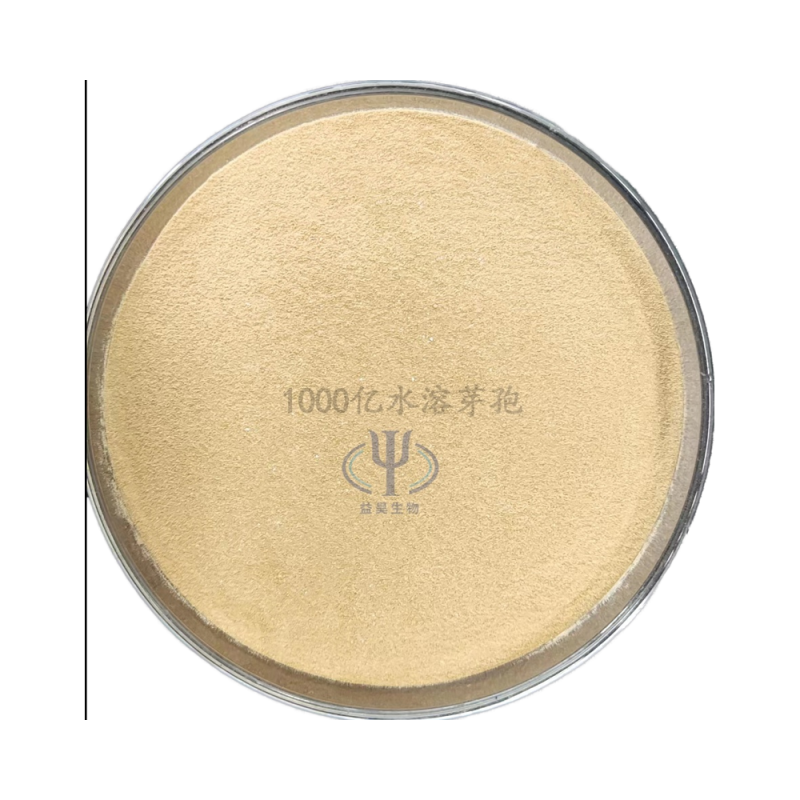 Probiotics for Sewage & Waste Water Treatment Effective Bacteria Solution