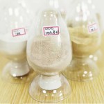 China Manufacturer Direct Supply Bacillus Subtilis Feed Additive for Aquacuture 25kg /Bag