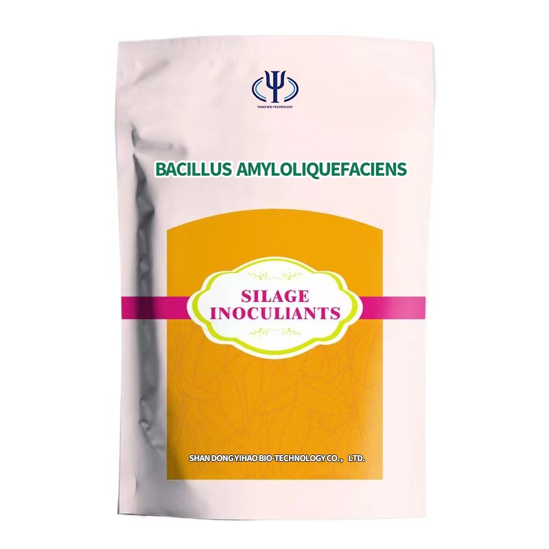 Factory Supply Bacillus Subtilis Bacillus Mucilaginosus Fertilizer for Tomato