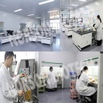 Bifidobacterium animalis for Gut & Immune Health