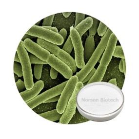 Lactobacillus Acidophilus Probiotic Strain