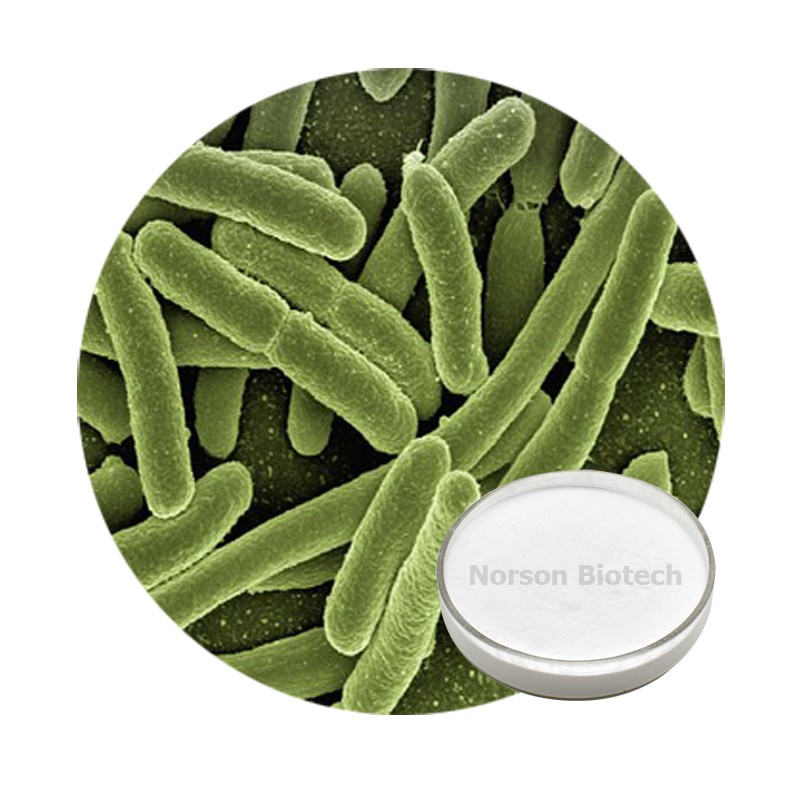 Lactobacillus Acidophilus Probiotic Strain