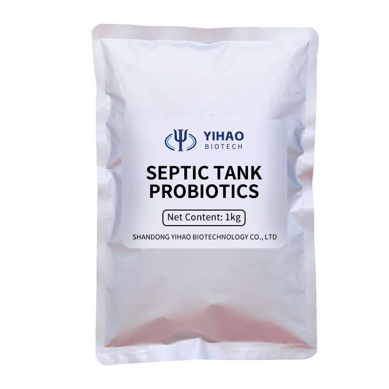 China Factory Supply Natural Bacteria Deodorant Septic Tank Cleaning Probiotics Wholesale Price