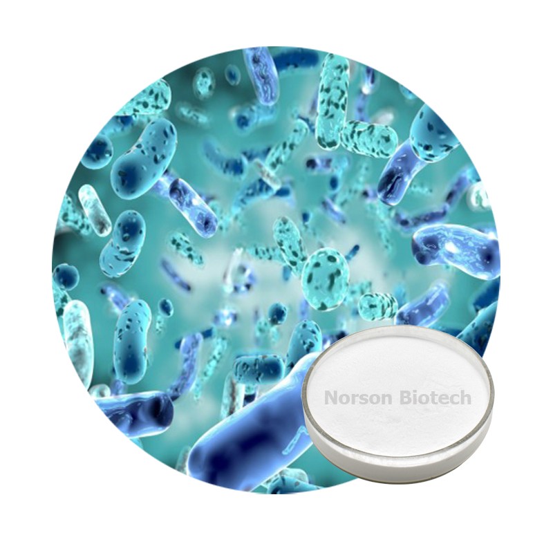 Bifidobacterium Adolescentis Probiotic Strain