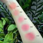 Liquid Blush Manufacturer - Pink Liquid Blush Private Label Cute Vegan Blush