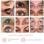 Eyelash Growth Serum Factory - Organic Cruelty Free Lengthening Serum