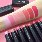 Blush Stick Manufacturer - Vegan Blush on High Pigment Private Label Blush
