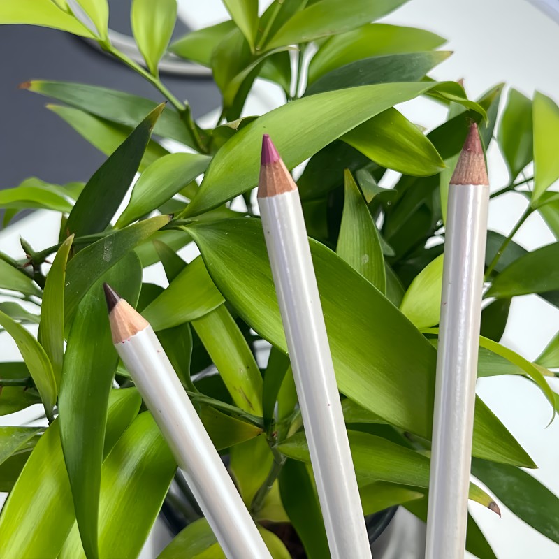 Lip Liner Manufacturer - Custom Logo Cruelty Free Vegan Matte Waterproof Lipliner