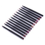 Lip Liner Supplier - Hot Cosmetics Vegan Professional Makeup Nude Lipliner