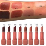 Matte Lipstick Supplier - Long Lasting 24 Hours Custom Logo Cruelty Free Lipstick