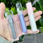 Liquid Eyeshadow Manufacturer - Francy Fancy Shiny Holographic Glitter Shadow