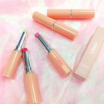 Tinted Lip Balm Factory - Wholesale Free Samples Moisturizing Fruit Lip Balm