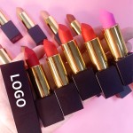 Velvet Lipstick Supplier - Makefay Cosmetics Wholesale No logo Red Matte Lipstick
