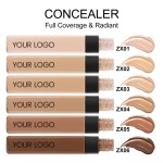 Liquid Concealer Supplier - Wholesale Private Label Vegan Waterproof Concealer