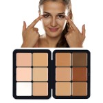 Concealer Palette Supplier - Vegan Waterproof Bulk Highlighting Concealer