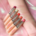 Tinted Lip Balm Factory - Wholesale Free Samples Moisturizing Fruit Lip Balm