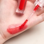 Lip Gloss Supplier - New Arrival No Moq Print Logo Best Quality Lip Gloss