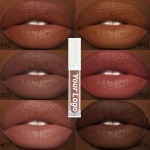 Liquid Lipstick Supplier - Makeup Long Lasting Vegan Waterproof Matte Lipstick